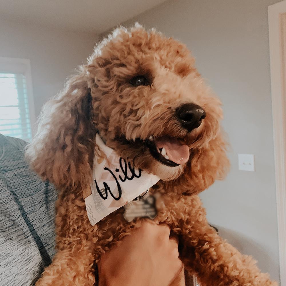 Bandana - Mountains Are Calling - 4 DOTS Bandana - Mountains Are Calling - 4 DOTS