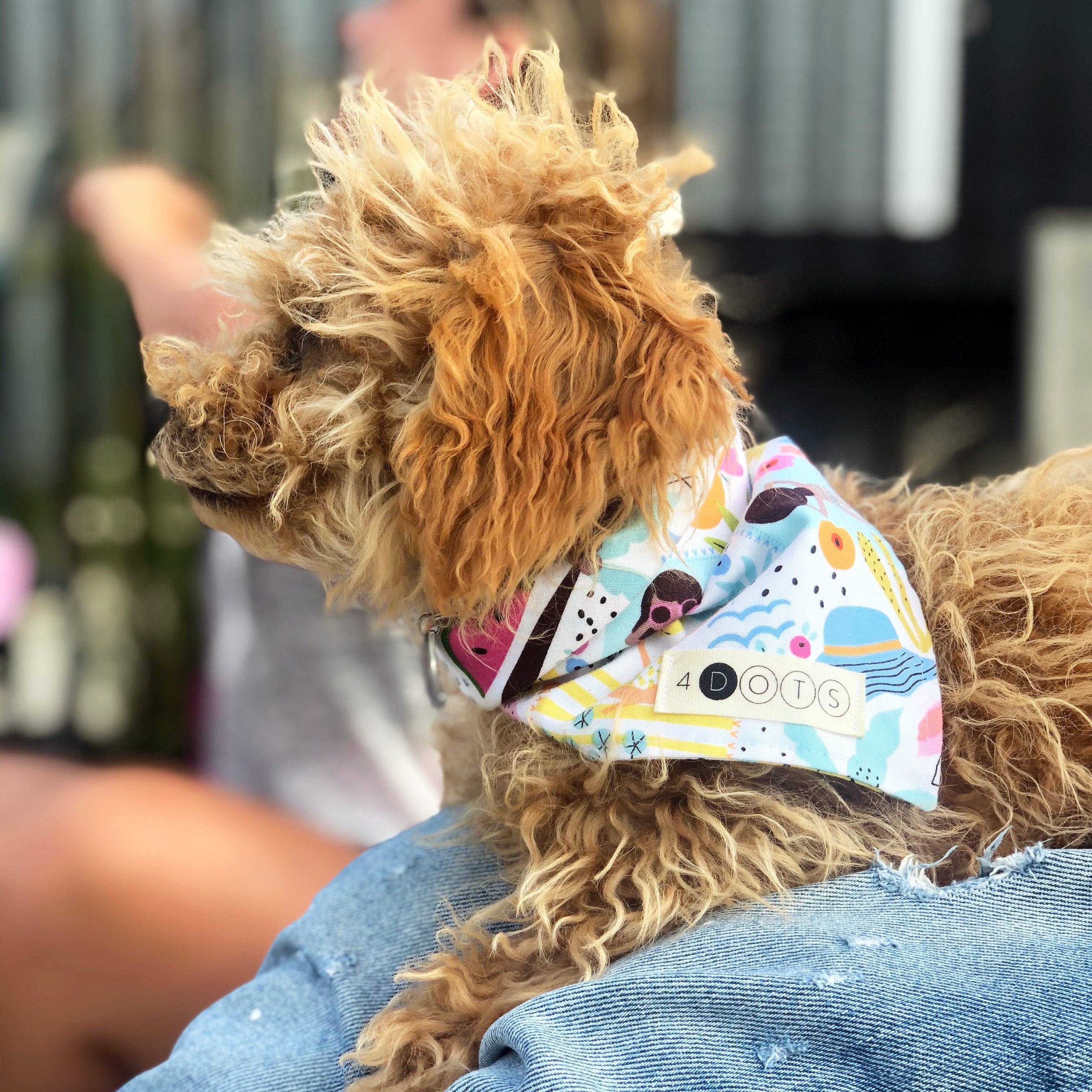 Bandana - Summer Lovin' - 4 DOTS Bandana - Summer Lovin' - 4 DOTS