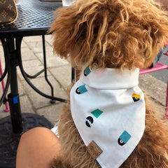 Bandana - Vinyl Countdown Dana - 4 DOTS Bandana - Vinyl Countdown Dana - 4 DOTS