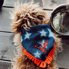 Bandana - Embroidery - 2 Word Small Text - 4 DOTS