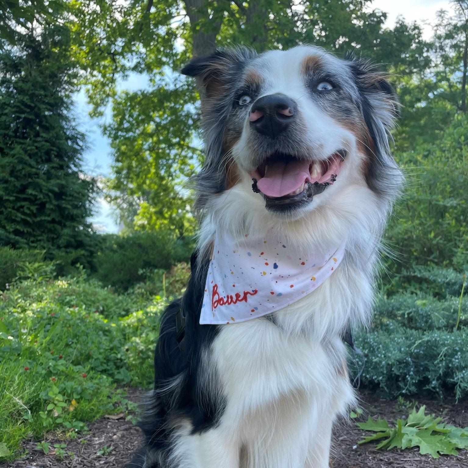 Bandana - Funfetti - 4 DOTS