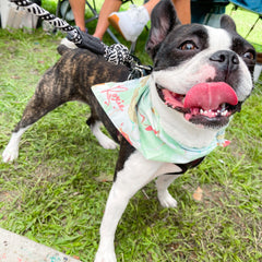 Bandana - Mint Marble - 4 DOTS