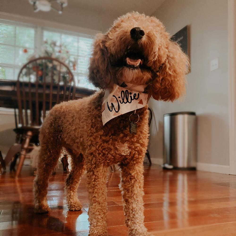 Bandana - Mountains Are Calling - 4 DOTS